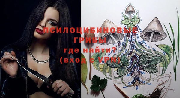 соль курить ск Белокуриха