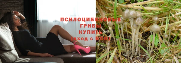 спайс Белоозёрский