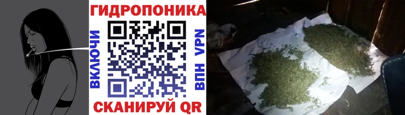 Канабис SATIVA & INDICA  кракен как зайти  Волжск 
